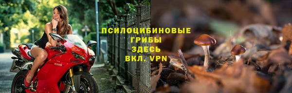 спиды Алексеевка