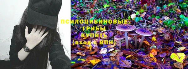 спиды Алексеевка