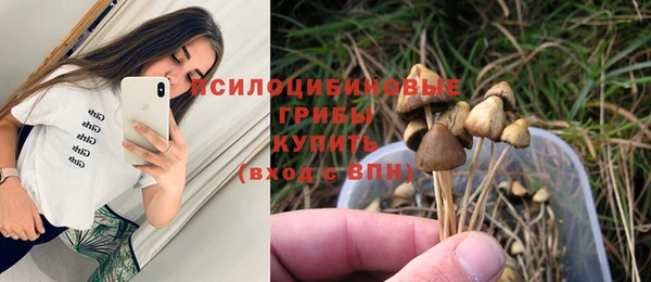 ALPHA PVP Алексин